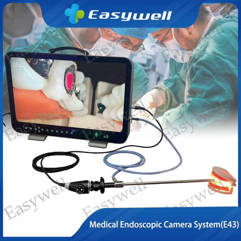 Medical Camera System